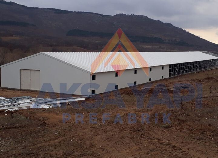 981 m² Tavuk Çiftliği-1