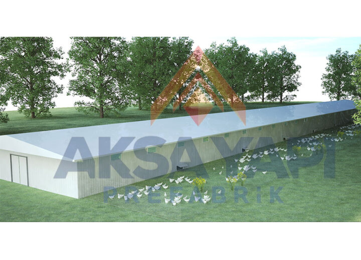 981 m² Tavuk Çiftliği-2
